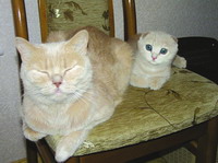 Enlarge photo