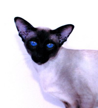 Enlarge photo